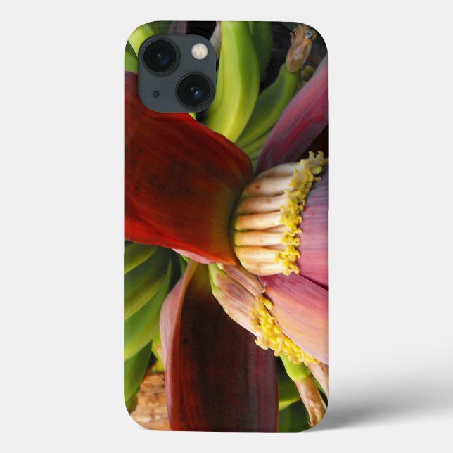 Flor de Banana (Verso)