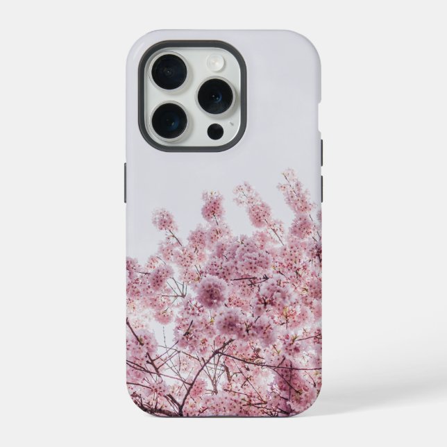 Flor de Blossom Rosa (Verso)