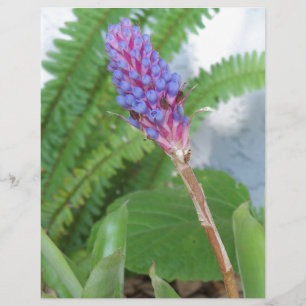 Flor de Bromelia de Cone Azul