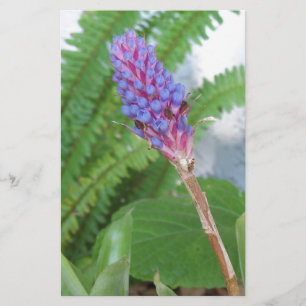 Flor de Bromelia de Cone Azul