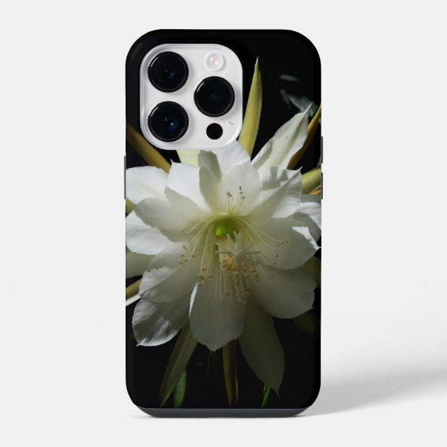 Flor de Cacto (Verso)
