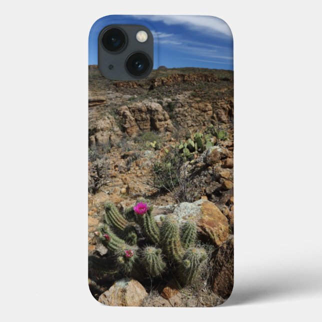 Flor de Cactus (Verso)