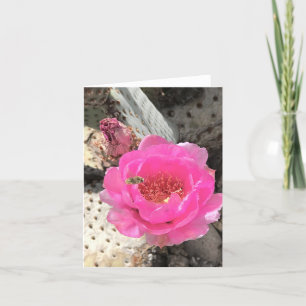 Flor de Cactus Rosa com Cartão de Nota de Abelhas