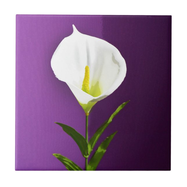 Flor de Cala Lírio (Frente)