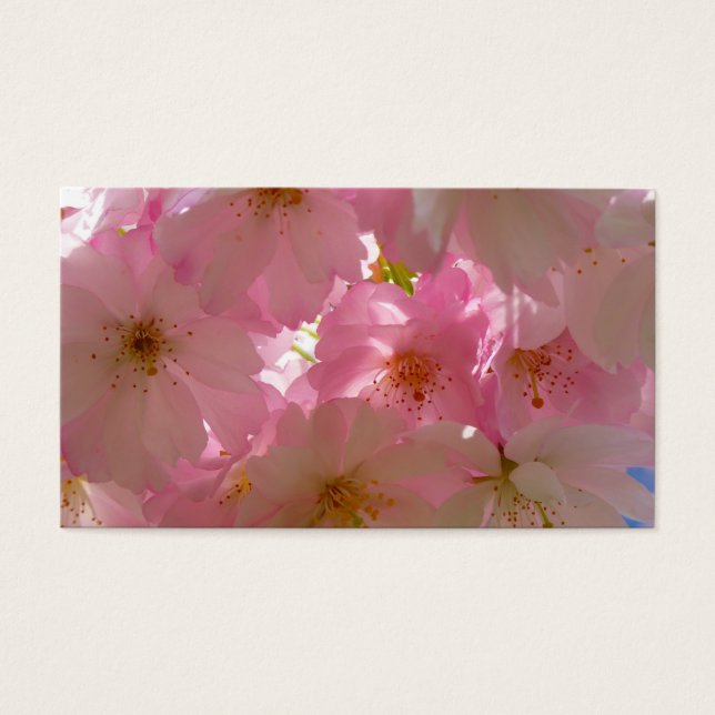 Flor de Cereja Japonês (Frente)