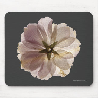 Flor de cerejeira Mousepad