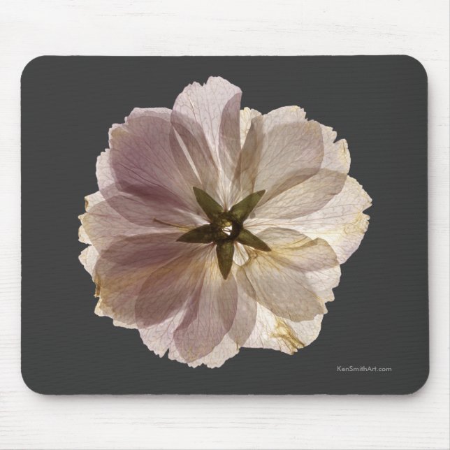 Flor de cerejeira Mousepad (Frente)