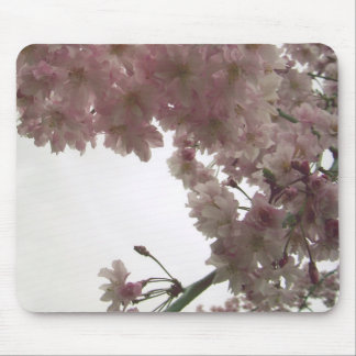 Flor de cerejeira Mousepad