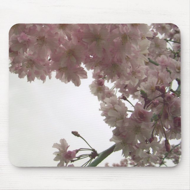 Flor de cerejeira Mousepad (Frente)