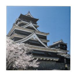 Flor de Cerejeira no Japão