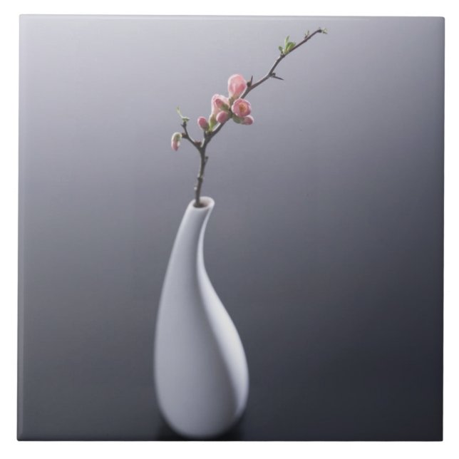 Flor de cerejeira no vaso (Frente)