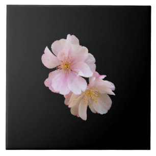 Flor de cerejeira Trivet