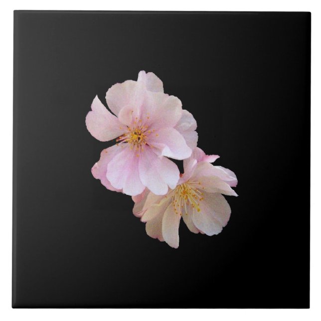 Flor de cerejeira Trivet (Frente)