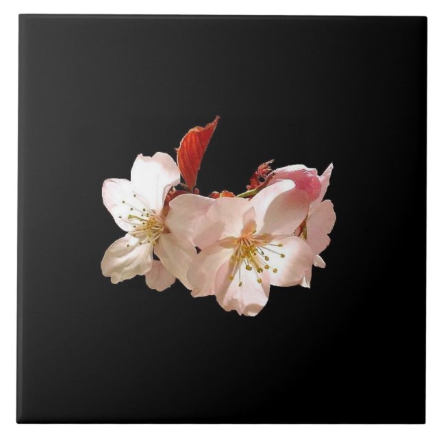 Flor de cerejeira Trivet (Frente)