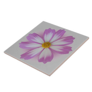 Flor de cor-de-rosa claro