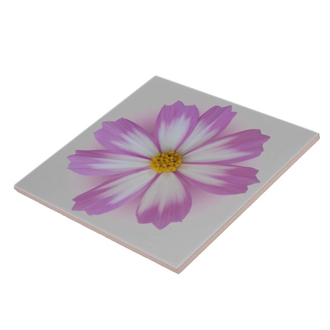 Flor de cor-de-rosa claro (Lateral)