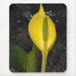 Flor de Couve-Cabelo - Mousepad