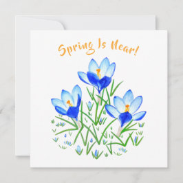 Flor de Crocus em Cartão Branco