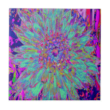 Flor de Dália Abstrata Cor de Arco-íris Aquamarino