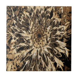 Flor de Dália Preta e Marrom