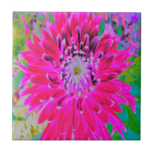 Flor de Dália Rosa-Rosa-Vermelha-Crimson
