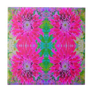 Flor de Dália Rosa-Rosa-Vermelha-Crimson