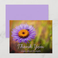 Flor de Fleabane Roxa e Capa de Postal Personaliza