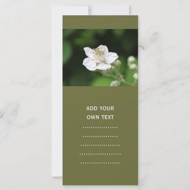 Flor de framboesa branca. (Frente)