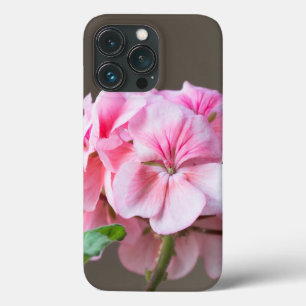 Flor de gerânio rosa