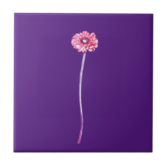 Flor de Gerbera Púrpura, rosa-pálido, pálida (Frente)