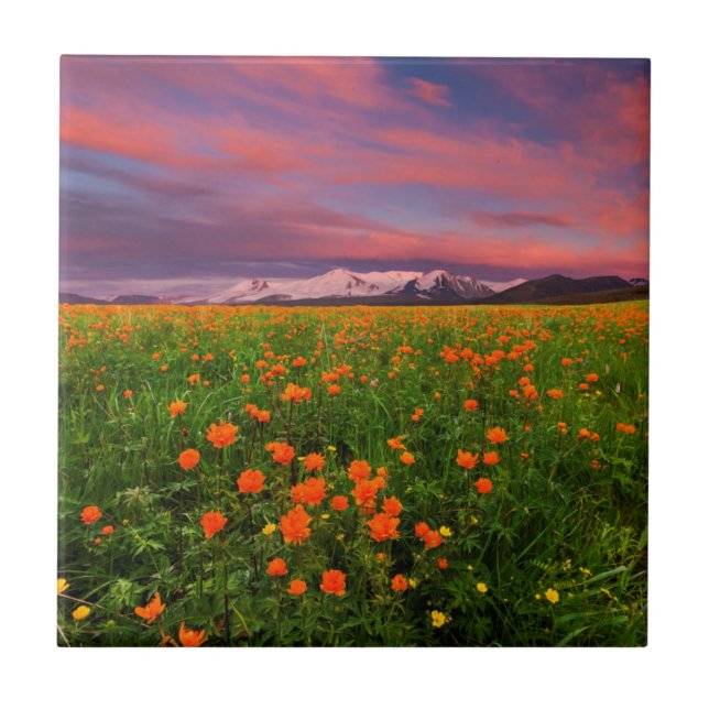 Flor de globo de florescência (Frente)