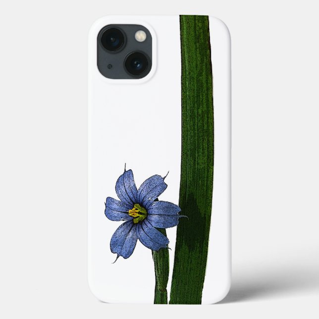 Flor de grama de olhos azuis e folha (Verso)