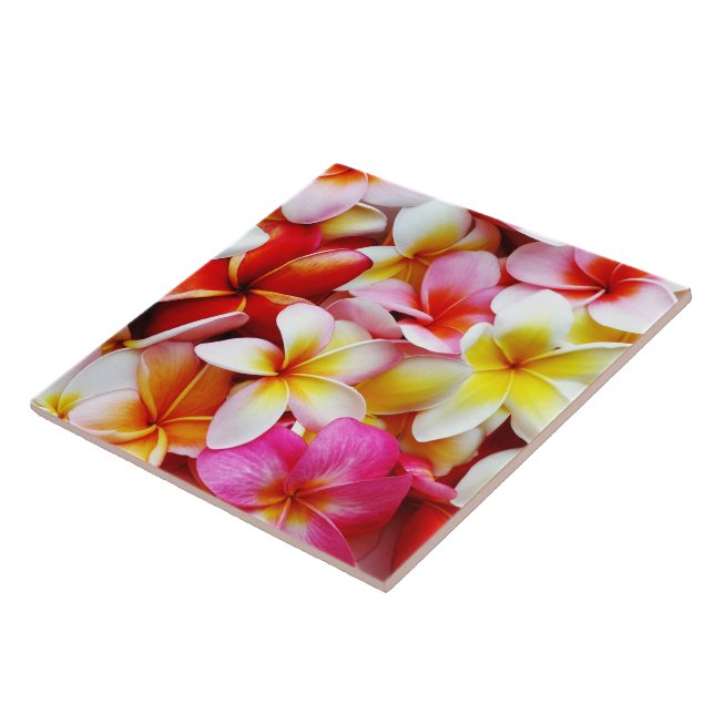 Hawaiian cor-de-rosa da flor de Havaí do