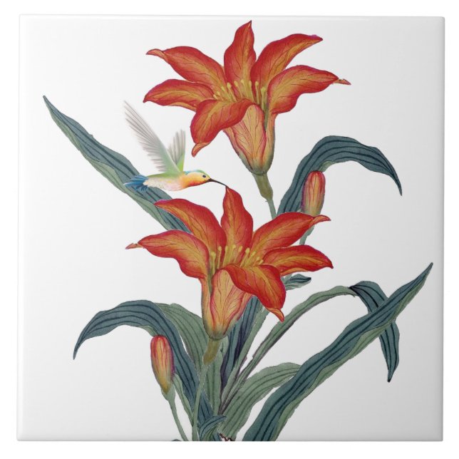 Flor de Hemerocallis Laranja Vintage Decorativa (Frente)
