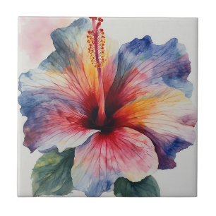 Flor de Hibisco