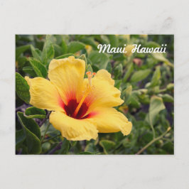 Flor de Hibisco Amarela | Cartão Postal