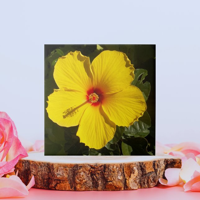 Flor de Hibiscus Amarelo (Yellow Hibiscus Flower Ceramic Tile)