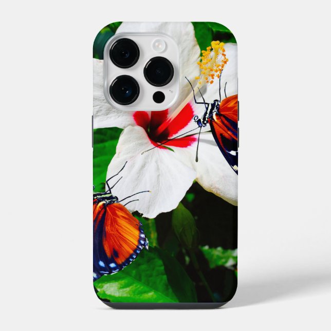 Flor de Hibiscus com 2 borboletas de Tigre (Verso)
