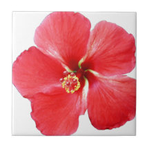 Flor de Hibiscus Vermelho Havaiano