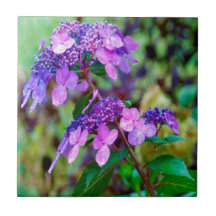 Flor de Hortênsia Roxa Twist and Shout