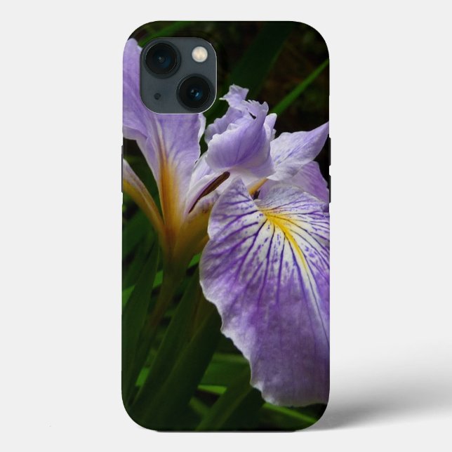 Flor de Íris Selvagem Roxa (Verso)