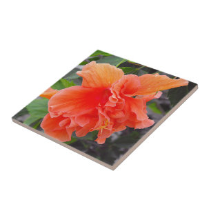 Flor de Laranja Folhada