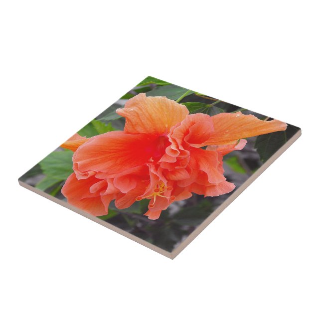 Flor de Laranja Folhada (Lateral)