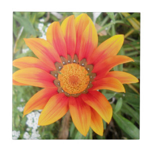 Flor de Laranja Única