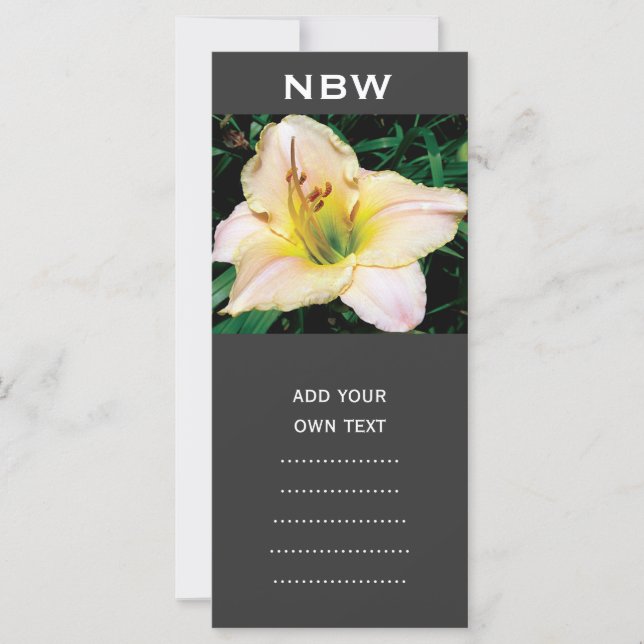 flor de lírio amarelo solteiro. (Frente)