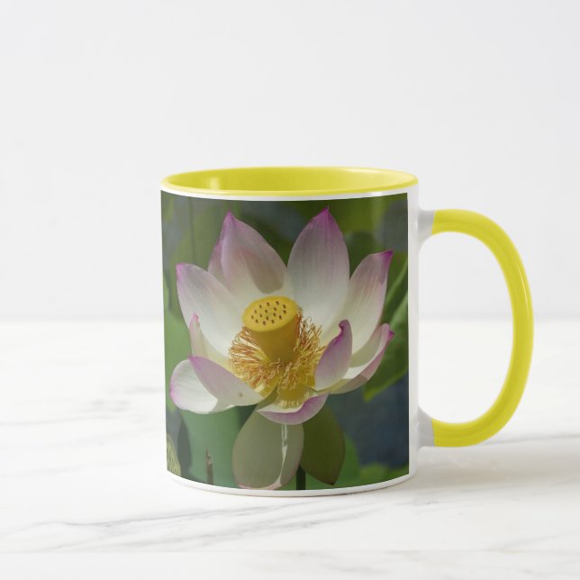 flor de lírio na caneca d'água (Direita)