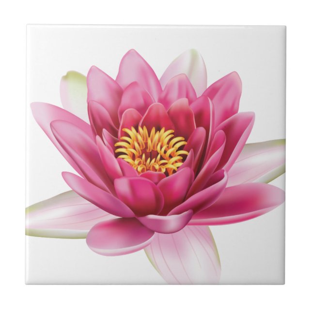 Flor de Lotus (Frente)