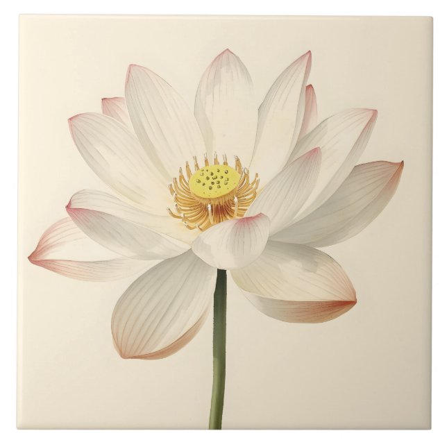 Flor de Lótus Branca (Frente)