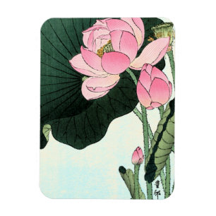 Flor de Lotus do japonês - ímã das belas artes