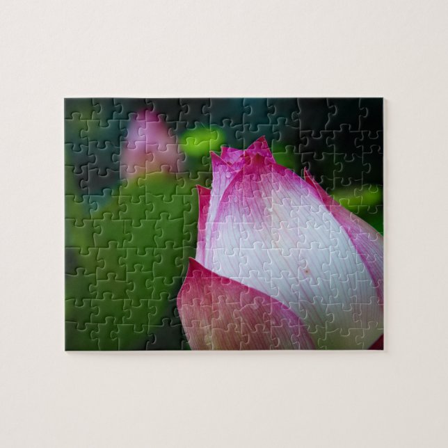 Flor de lótus - Quebra-cabeça (Horizontal)